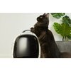 Transporter PETKIT Breezy 2 Kremowy Szerokość [cm] 30