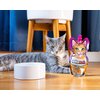 Napój izotoniczny KITTYRADE 250 ml Wielkość zwierzęcia Rasy średnie (od 10 do 25 kg)