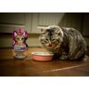 Napój izotoniczny KITTYRADE 250 ml Etap życia Dorosły