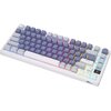 Klawiatura ROYAL KLUDGE RKM75 Typ klawiatury Mechaniczna