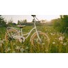 Rower dziecięcy SUN BABY Flower bike 20 cali dla dziewczynki Biało-beżowy Wyposażenie Karta gwarancyjna