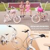 Rower dziecięcy SUN BABY Flower bike 20 cali dla dziewczynki Biało-beżowy Wyposażenie Błotniki