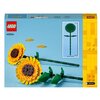 LEGO 40524 Słoneczniki Płeć Chłopiec