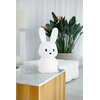 Lampka nocna INNOGIO Rabbit Mega Maxi GIO-138 Rodzaj gwintu LED zintegrowany