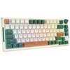 Klawiatura ROYAL KLUDGE RKH81 RGB Zielony Interfejs 2.4 GHz