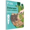 Książka z naklejkami Czytaj z Albikiem Zwierzęta Zeszyt z naklejkami 92413 (twarda okładka)