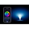 Inteligentna żarówka LED SETTI+ SL314RGB 4.8W E14 Wi-Fi Odpowiednik tradycyjnej żarówki 40 W