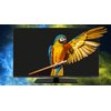 Telewizor GOGEN TVF32M340 32" LED Tuner DVB-C