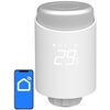 Głowica termostatyczna AVATTO TRV10 ZigBee