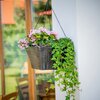 Zestaw donic PATIO Wenge 47391 Obróbka Materiał odporny na warunki atmosferyczne