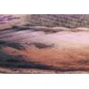 Wycieraczka tekstylna MULTIDECOR Print Lawenda 45 x 75 cm Kolor Wielokolorowy