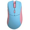 Mysz GLORIOUS Model D Pro Niebiesko-różowy Rozdzielczość 19000 dpi
