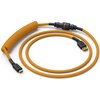 Kabel GLORIOUS PC Coiled Cable Złoty Rodzaj Kabel