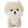 Maskotka DAFFI Teddy Pets Pomeranian T-019 Płeć Dziewczynka