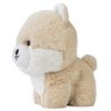 Maskotka DAFFI Teddy Pets Pomeranian T-019 Płeć Chłopiec