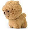 Maskotka DAFFI Teddy Pets Chow Chow T-023 Płeć Chłopiec