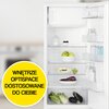Lodówka ELECTROLUX LFB3AE12S Bezszronowa (No Frost) Brak
