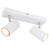 Lampa sufitowa GLOBO Robby 57911-2W Biały