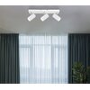 Lampa sufitowa GLOBO Robby 57911-3W Biały Rodzaj Lampa sufitowa