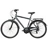 Rower trekkingowy INDIANA X-Road 1.0 M21 28 cali Amar męski Szary Rozmiar ramy [cal] 21