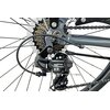 Rower trekkingowy INDIANA X-Road 1.0 M21 28 cali Amar męski Szary Kolor Szary