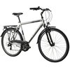 Rower trekkingowy INDIANA X-Road 1.0 M19 28 cali męski Srebrny 2024