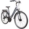 Rower trekkingowy INDIANA X-Road 3.0 D21 