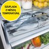 Lodówka HISENSE RB440N4WCF No Frost 200.4cm Podajnik wody Srebrna Liczba drzwi 2
