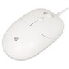 Mysz IBOX Seagull i011 Rozdzielczość 1600 dpi