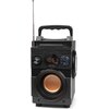 Głośnik mobilny SQUEAK BassBlaster SQ1001 Radio FM Czarny Czas pracy na akumulatorze [h] 7