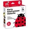 Karty edukacyjne KAPITAN NAUKA Kontrastowe Widzę kolory
