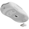 Mysz GENESIS Zircon 500 Wireless Biały Typ myszy Optyczna