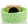 Pasek LUNA do Apple Watch 3/4/5/6/7/8/SE (42/44/45mm) Jasnozielony Rodzaj Pasek