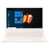 Laptop ACER ConceptD 3 Pro CN314-72P 14" IPS i7-10750H 16GB RAM 1TB SSD Quadro T1000 Windows 10 Professional Przekątna ekranu [cal] 14
