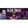 Kawa BLUE ORCA Nicaragua Fazenda Finestra 1kg (Rzemieślnicza) (Speciality) Aromat Czekoladowo-owocowy