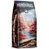 Kawa ziarnista BLUE ORCA COFFEE Honduras Fazenda Paradiso (Rzemieślnicza) (Specialty) 1 kg