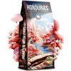 Kawa ziarnista BLUE ORCA COFFEE Honduras Fazenda Paradiso (Rzemieślnicza) (Specialty) 1 kg Dedykowany ekspres Ekspresy ciśnieniowe