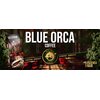 Kawa BLUE ORCA Salvador Fazenda Roja 1kg (Rzemieślnicza) (Speciality) Aromat Orzechowy