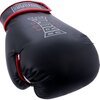 Rękawice bokserskie BRUTE Active (rozmiar 10oz) Czarny Sport Boks