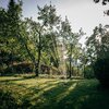 Zraszacz FISKARS 1070832 Regulacja strumienia wody Tak