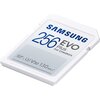 U Karta pamięci SAMSUNG Evo Plus SDXC 256GB MB-SC256K EU Adapter w zestawie Nie