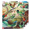 Puzzle CENEGA Merch: Imagination: Ernst Haeckel Hummingbirds Kolibry (1000 elementów) Przeznaczenie Dla dorosłych