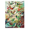 Puzzle CENEGA Merch: Imagination: Ernst Haeckel Hummingbirds Kolibry (1000 elementów) Typ Tradycyjne