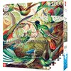 Puzzle CENEGA Merch: Imagination: Ernst Haeckel Hummingbirds Kolibry (1000 elementów) Tematyka Zwierzęta