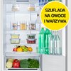 Lodówka HISENSE RB390N4AWE No Frost 186cm Biała Liczba drzwi 2