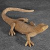 Figurka dekoracyjna EUROFIRANY Eldo 22 x 18 x 5 cm Złoty Materiał wykonania 100% żywica poliestrowa