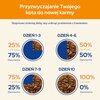 Karma dla kota CAT CHOW Adult Łosoś z zieloną fasolką 85 g Typ Mokra