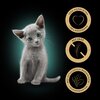 Karma dla kota SHEBA Kitten Kurczak z łososiem (4 x 85 g) Opakowanie Saszetka