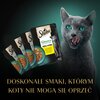 Karma dla kota SHEBA Nature’s Collection Drobiowe Smaki (40 x 85 g) Rasa Wszystkie