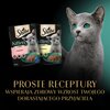 Karma dla kota SHEBA Junior Wybór Smaków (40 x 85 g) Etap życia Junior